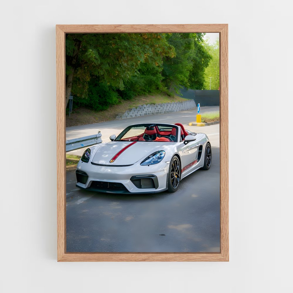 Poster araignée fascinante – affiche Porsche (vue 4)